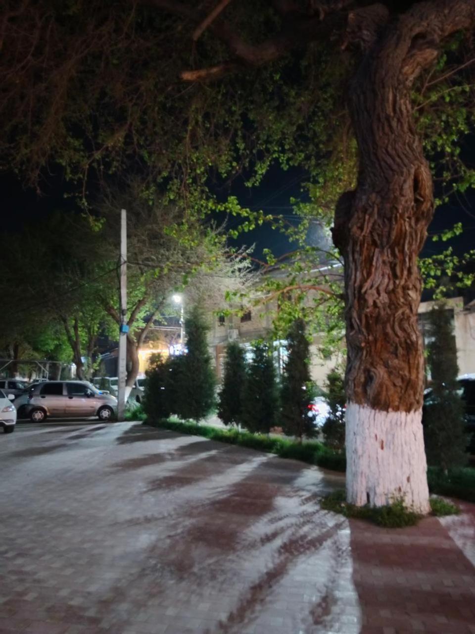 Gulsara Hostel Samarkand Ngoại thất bức ảnh