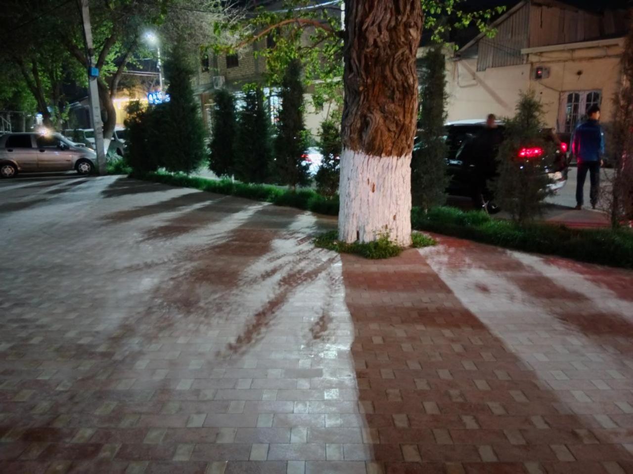 Gulsara Hostel Samarkand Ngoại thất bức ảnh